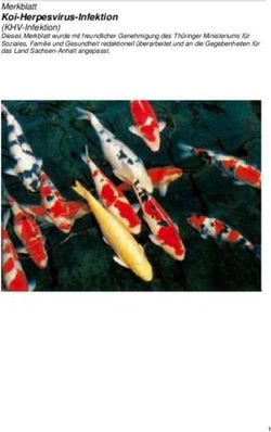 Koi-Herpesvirus-Infektion - Merkblatt - Ministerium f&uuml;r Umwelt ...