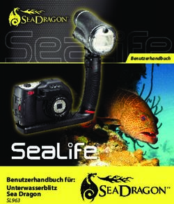 Benutzerhandbuch f&uuml;r: Unterwasserblitz Sea Dragon