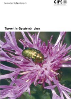 Tierwelt in Gipssteinbr&uuml;chen - Bundesverband der Gipsindustrie e.V.