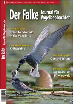 8 Keine Trendwende in der Vogelkrise