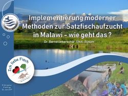Dr. Bernd Uebersch&auml;r, GMA-B&uuml;sum - Fish for life