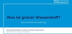 Was ist gr&uuml;ner Wasserstoff? - Eine rechtliche Einordnung Barcamp Gr&uuml;ner Wasserstoff am 2. Juni 2021 - Erneuerbare Energien Hamburg - Stiftung ...