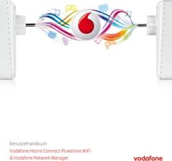 BENUTZERHANDBUCH VODAFONE HOME CONNECT POWERLINE WIFI & VODAFONE NETWORK MANAGER