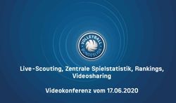 Live-Scouting, Zentrale Spielstatistik, Rankings, Videosharing Videokonferenz vom 17.06.2020