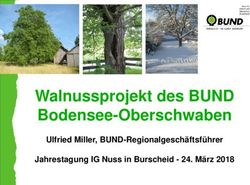 Walnussprojekt des BUND Bodensee-Oberschwaben - Ulfried Miller, BUND-Regionalgeschäftsführer Jahrestagung IG Nuss in Burscheid - März 2018