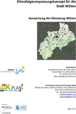 Klimafolgenanpassungskonzept f&uuml;r die Stadt Witten - Auswertung der Klimamap Witten