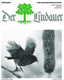 MITTEILUNGSBLATT LINDAUTAGELSWANGENWINTERBERGGRAFSTAL - MITTEILUNGSBLATT LINDAU TAGELSWANGEN ...