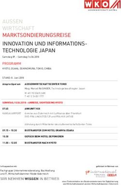 AUSSEN WIRTSCHAFT MARKTSONDIERUNGSREISE INNOVATION UND INFORMATIONS-TECHNOLOGIE JAPAN - WKO