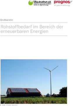 Rohstoffbedarf im Bereich der erneuerbaren Energien - Endbericht - D-EITI