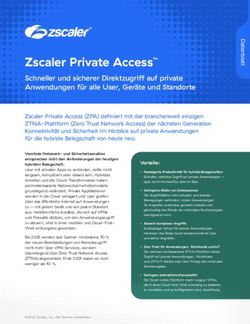 Zscaler Private Access - Schneller Und Sicherer Direktzugriff Auf ...