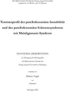 Torsionsprofil der patellofemoralen Instabilit&auml;t und des patellofemoralen Schmerzsyndroms mit Malalignment-Syndrom - eDiss
