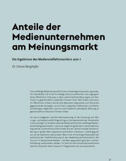 Anteile der Medienunternehmen am Meinungsmarkt - Die Ergebnisse des Medienvielfaltsmonitors 2021 I