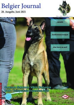 Belgier Journal - Samson Salomon Vitris Bohemia BOB - Teilspeziale Stutensee 2020