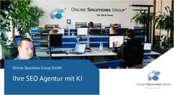 Ihre SEO Agentur mit KI - Online Solutions Group GmbH www.onlinesolutionsgroup.de