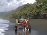 Costa Rica - Regenwälder, Vulkane, Pazifik- und Karibikküste - FreitagTravel Reisebüro ...