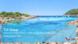 TUI Group Investoren Pr&auml;sentation - DSW Anlegerforum Hannover 28 November 2018