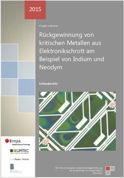 R&uuml;ckgewinnung von kritischen Metallen aus Elektronikschrott - Empa
