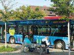 Fahrzeuge und Formate 2021 .VERKEHRSMITTELWERBUNG BUSSE STRASSENBAHNEN