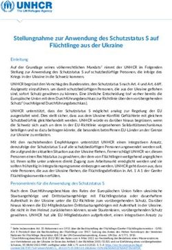 Stellungnahme zur Anwendung des Schutzstatus S auf Fl&uuml;chtlinge aus der Ukraine