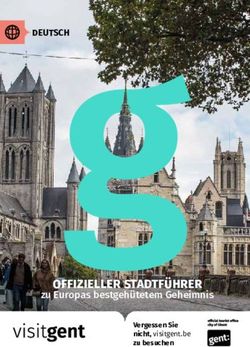 OFFIZIELLER STADTFÜHRER - DEUTSCH - Stad Gent