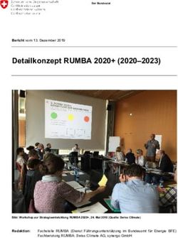 Detailkonzept RUMBA 2020+ (2020-2023) - Der Bundesrat ...