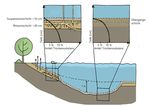Erfolgsfaktoren für die Sediment entnahme aus einem von Verlandung bedrohten Kleinsee