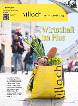 Wirtschaft im Plus :stadtzeitung - Stadt Villach