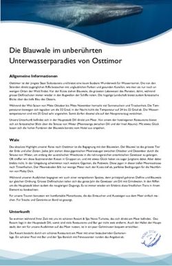 Die Blauwale im unber&uuml;hrten Unterwasserparadies von Osttimor