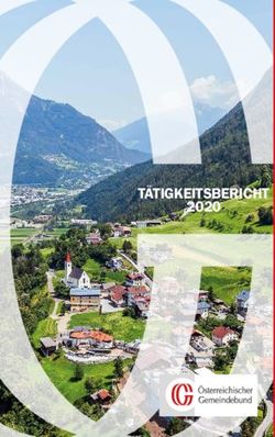 T&Auml;TIGKEITSBERICHT 2020 - Der &Ouml;sterreichische Gemeindebund