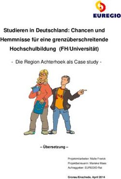 Studieren in Deutschland: Chancen und Hemmnisse f&uuml;r eine grenz&uuml;berschreitende Hochschulbildung (FH/Universit&auml;t) - Euregio