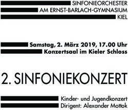 SINFONIEKONZERT - SINFONIEORCHESTER AM ERNST-BARLACH-GYMNASIUM KIEL Samstag, 2. M&auml;rz 2019, 17.00 Uhr Konzertsaal im Kieler Schloss
