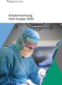 Konzernrechnung Insel Gruppe 2020