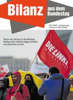 Aus dem Bundestag - Nach vier Jahren im Bundestag blicken die LINKEN Abgeordneten aus Sachsen zur&uuml;ck - DIE LINKE. Sachsen