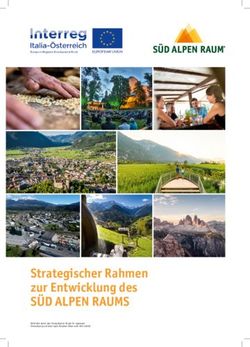 Strategischer Rahmen zur Entwicklung des - S&Uuml;D ALPEN RAUMS