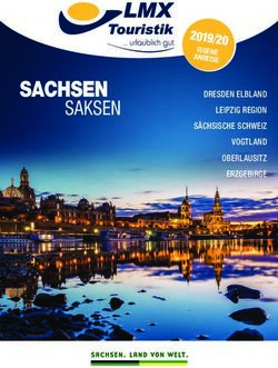 SACHSEN SAKSEN - lmx-agent.com