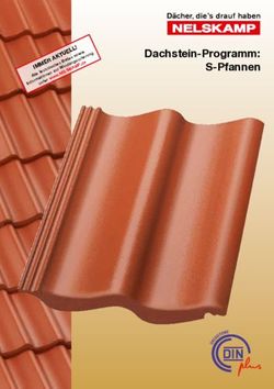 Dachstein-Programm: S-Pfannen - L! - Nelskamp