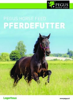PFERDEFUTTER PEGUS HORSE FEED - Lagerhaus