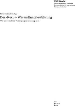 Der "Nexus" Wasser-Energie-Nahrung - Marianne Beisheim (Hg.) SWP-Studie