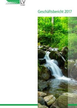 Gesch&auml;ftsbericht 2017 - LV-St.Gallen