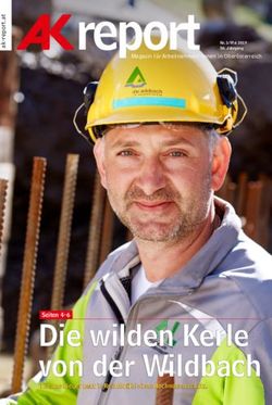 Die wilden Kerle von der Wildbach - Seiten 4-6 - Magazin für Arbeitnehmer/-innen in Oberösterreich - Arbeiterkammer ...