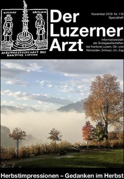 Der Luzerner Arzt - Herbstimpressionen - Gedanken im Herbst - November 2019 Nr. 119 Spezialheft