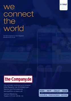 We connect the world - the-Company.de