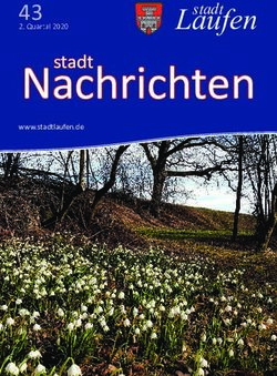 Nachrichten 43 stadt Laufen - stadt