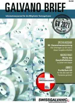 Informationsjournal f&uuml;r die Mitglieder Swissgalvanic - Mai 2021