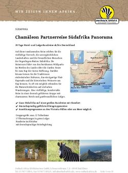 Cham&auml;leon Partnerreise S&uuml;dafrika Panorama - Outback Africa