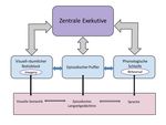 ALLGEMEINE PSYCHOLOGIE II - Prof. Dr. Walter NiemeierProf. Dr. Walter Niemeier | Sebastian Rauch - FHM Online-University