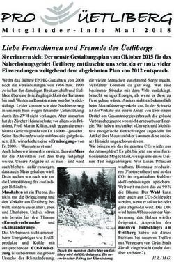 &Uuml;ETLIBERG - Pro Uetliberg