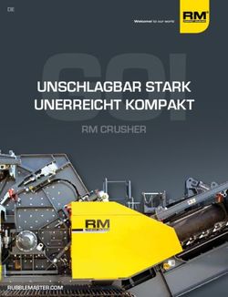 UNSCHLAGBAR STARK UNERREICHT KOMPAKT - RUBBLEMASTER.COM