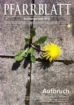PFARRBLATT Seelsorgeraum Rein - Stift Rein