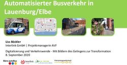 Automatisierter Busverkehr in Lauenburg/Elbe - Liss B&ouml;ckler Interlink GmbH | Projektmanagerin AVF